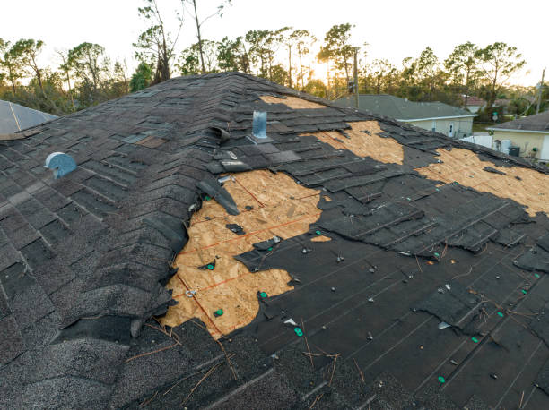 Fast & Reliable Emergency Roof Repairs in Golden Meadow, LA